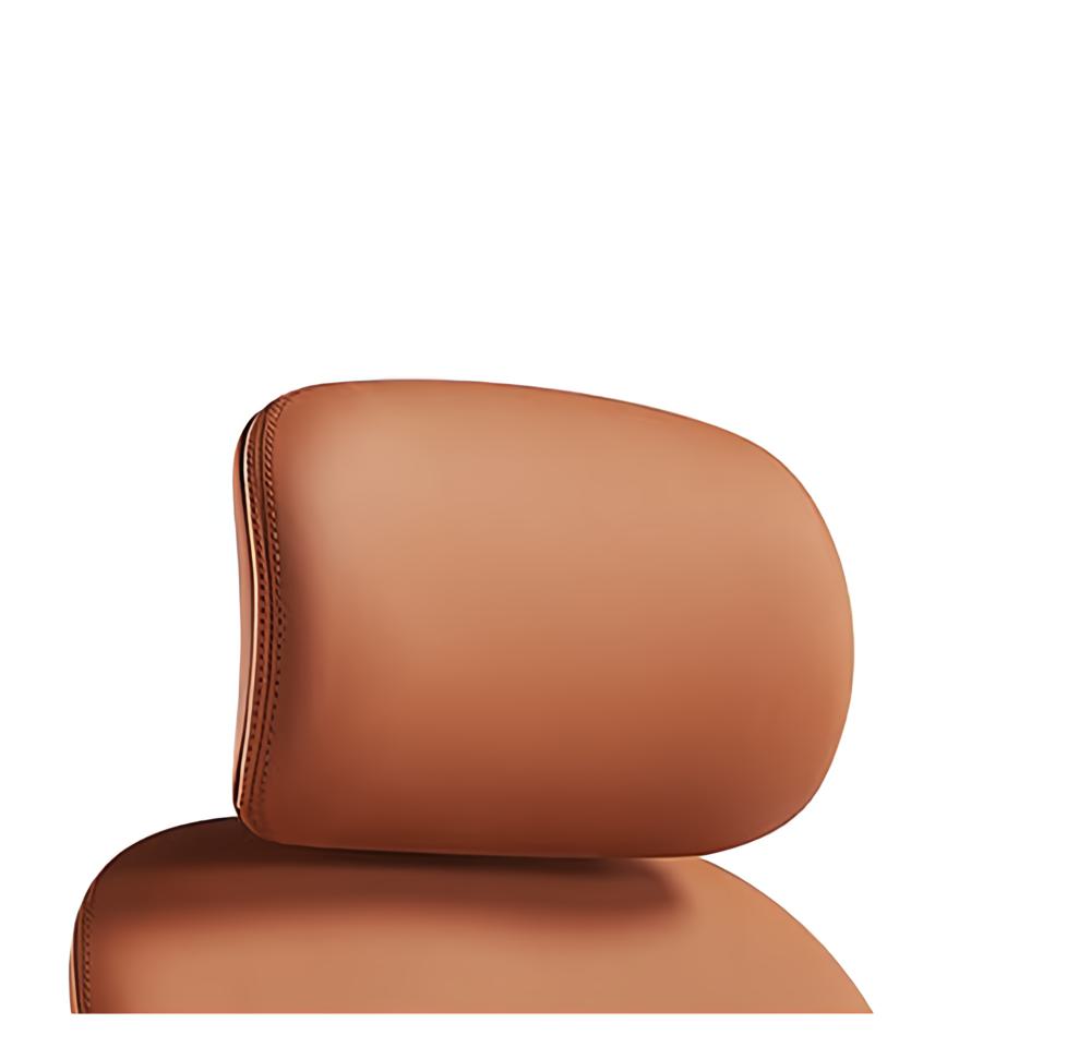 京洛風趣 Amazon.com: TopJob Designer Office Chair, Napa Ergonomic Home and